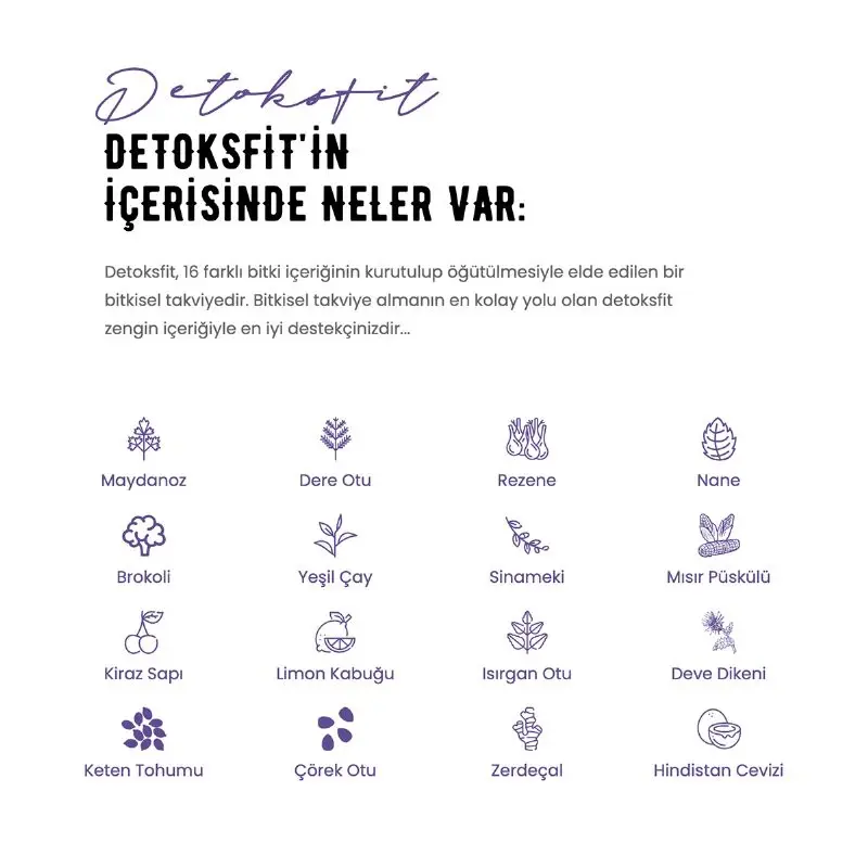 Detoksfit Tablet